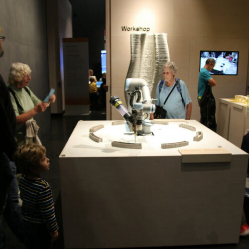 img 8430 800x800 q85